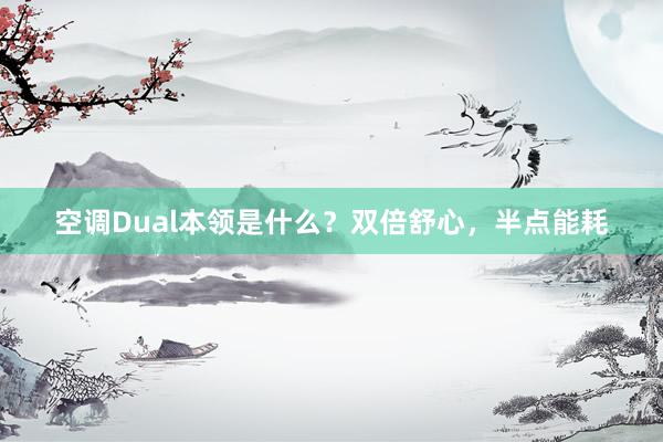 空调Dual本领是什么？双倍舒心，半点能耗